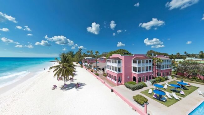 southernpalm-3